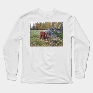 Scottish Highland Cattle Calf 1563 Long Sleeve T-Shirt